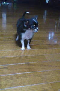 たなか
