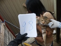 98¤±¤¤¤³