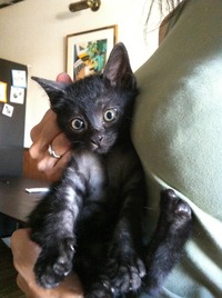 photo (2)