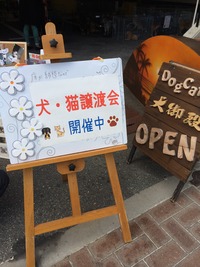 写真 3