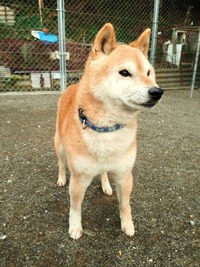 photo (4)