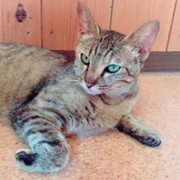 IMG_3925 (1)