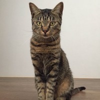 IMG_3905