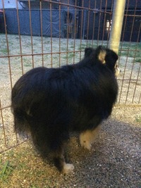 image2 (5)