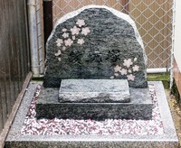 愛玩塚