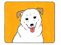 イラスト
