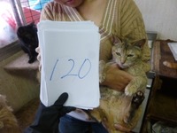 120¤¯¤Ã¤¡¼