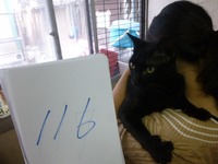 116¤ª¤Ü¤í
