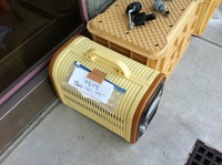 現場