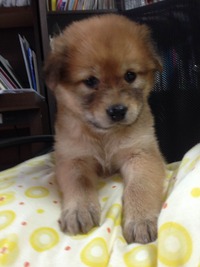 photo1 (3)