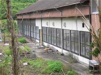 元繁殖場