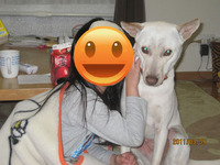 BlogPaint