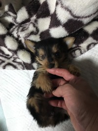 BCA2EA82-471A-4BA4-A25D-AED52A67BF3D