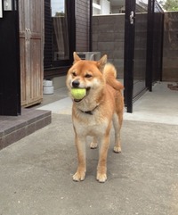だい2
