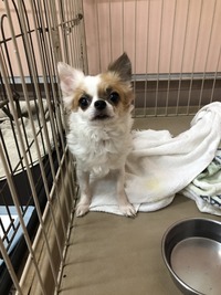 496C87D4-3D7B-479D-943A-E1B2D35B3E11