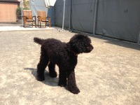 photo (15)