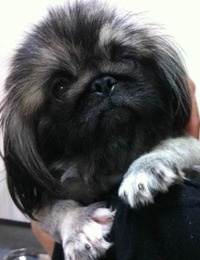 photo (10)