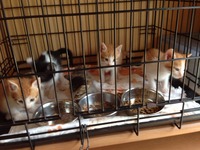 photo1 (6)