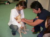 首輪