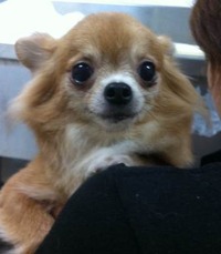 photo (2)