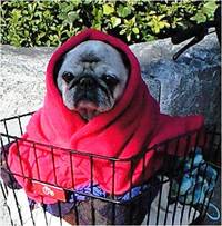 ET