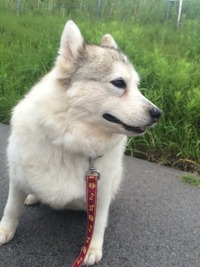 image1 (1)