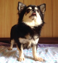 おとは1