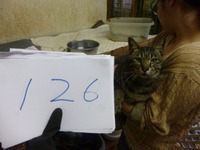 126¤Ë¡¼