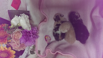 IMAG0725