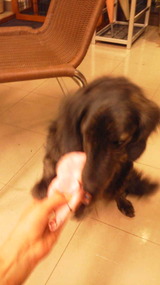 20120207173247
