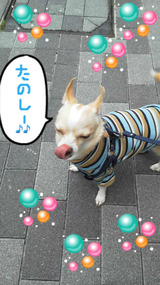 BlogPaint