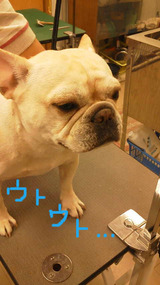 BlogPaint