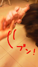 BlogPaint