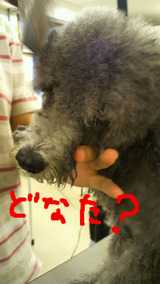 BlogPaint