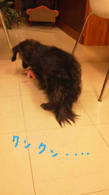 BlogPaint