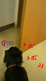 BlogPaint