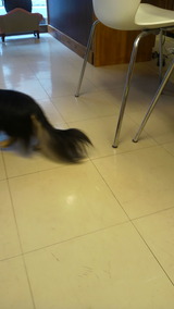 2012011610190002