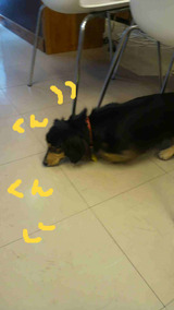 BlogPaint