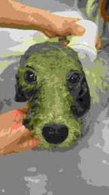 2012011410490002