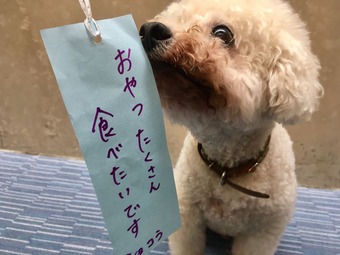 ショコラ