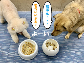 BlogPaint