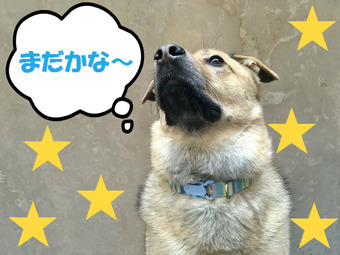 BlogPaint