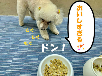 BlogPaint