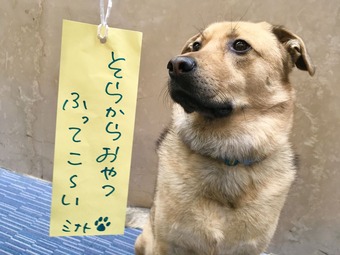 ミナト