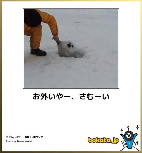 笑ったbokete(ボケて)