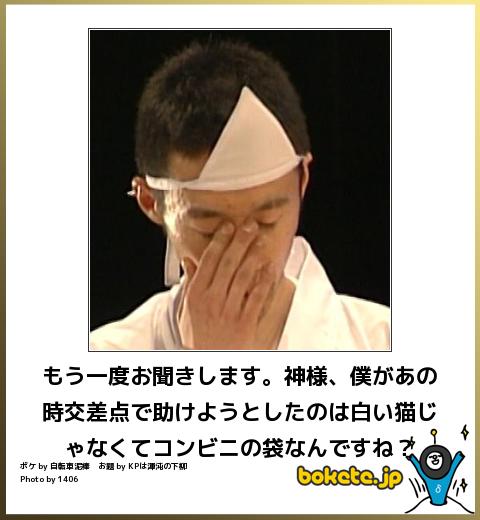 交差点で助けようとしたのは白い猫じゃなくてコンビニの袋なんですね