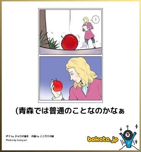 青森では普通のことなのかなぁ
