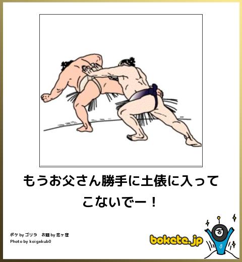 もうお父さん勝手に土俵に入ってこないでー!