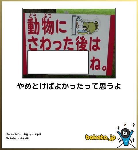 やめとけばよかったって思うよ