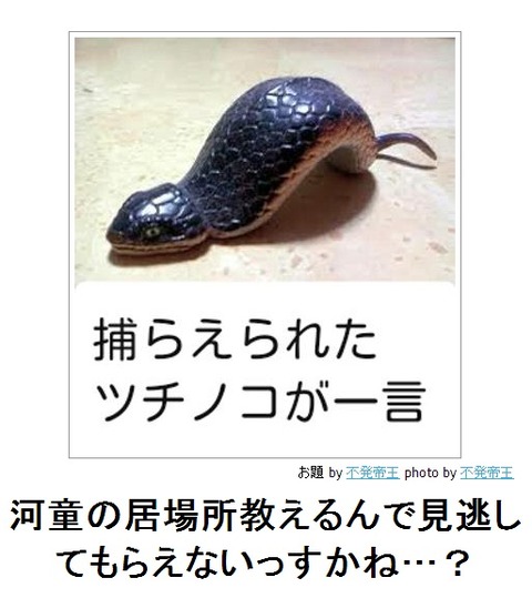 河童の居場所教えるんで見逃してもらえないっすかね